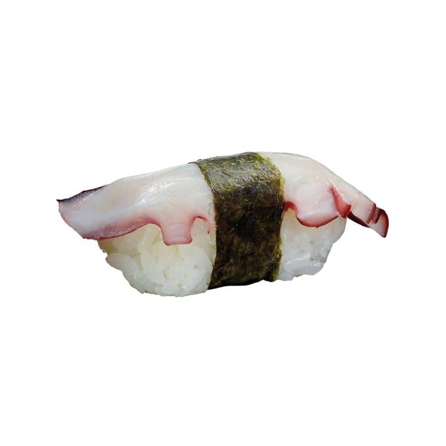 Nigiri Oktopus